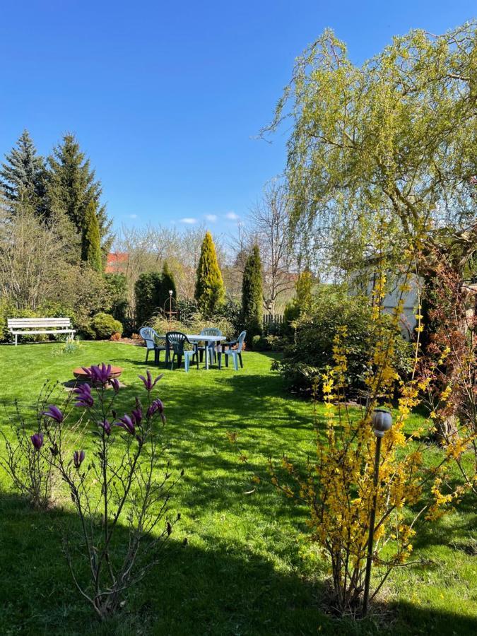 Gemuetliches Appartement - 20 Min Bis Dresden Leppersdorf Экстерьер фото